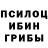 Галлюциногенные грибы Psilocybe 504daron