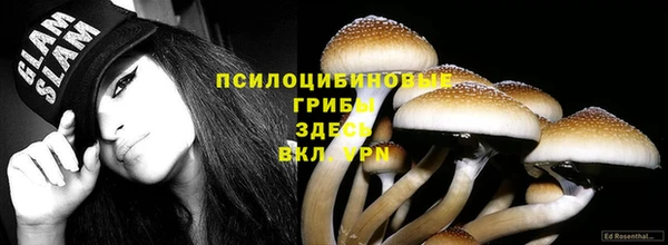 герыч Алексин
