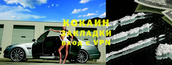 стафф Карпинск