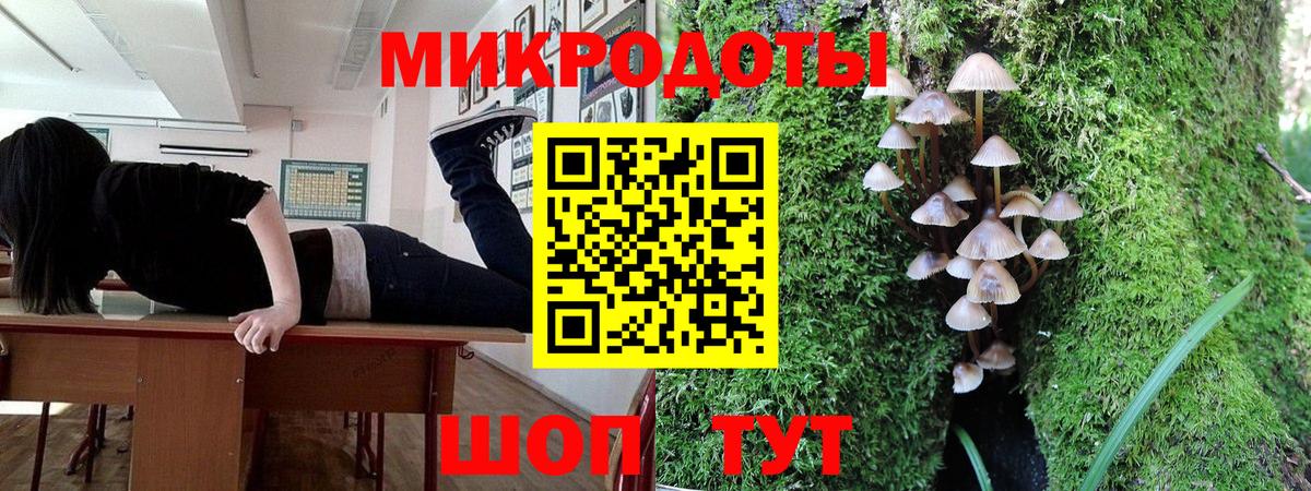 Псилоцибиновые грибы Psilocybine cubensis Махачкала