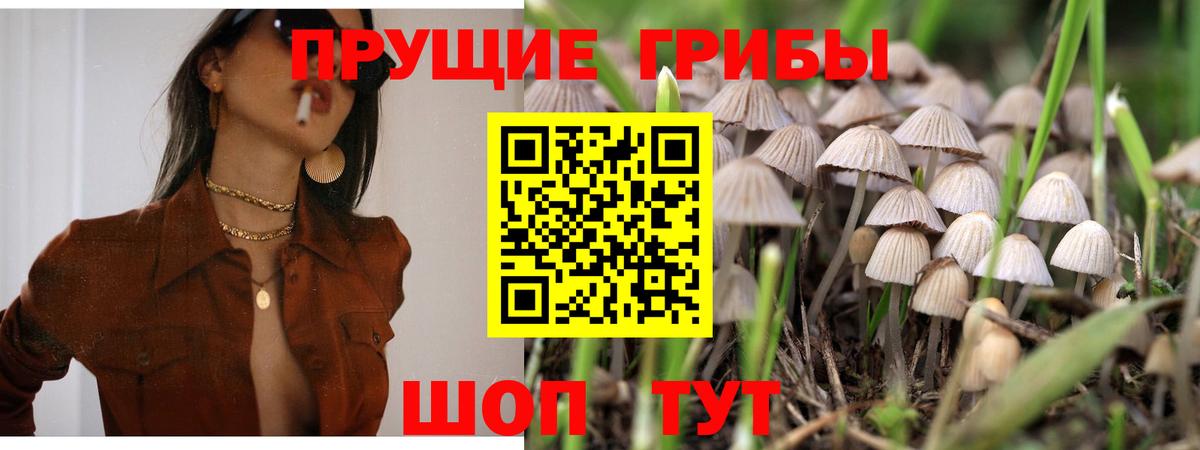 Махачкала  Псилоцибиновые грибы Magic Shrooms  Вход с VPN 